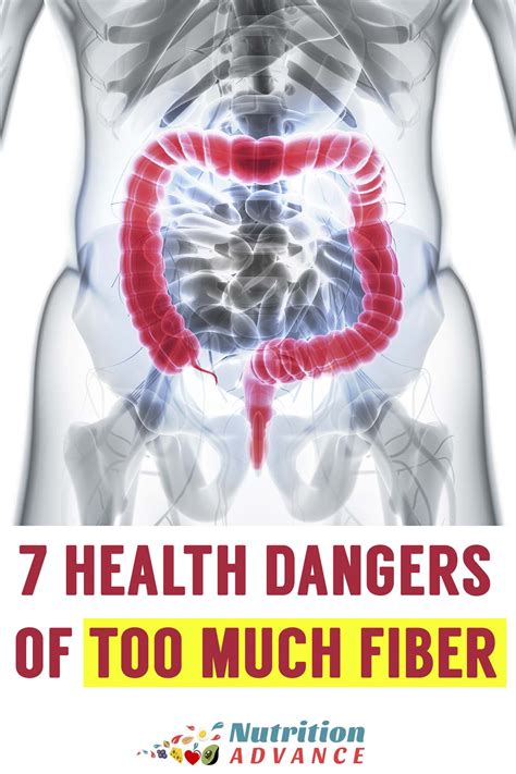 How do I settle my stomach after too much fiber? [2025] | QAQooking.wiki