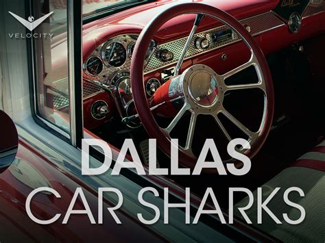 Sharks Cool Chevy Cars