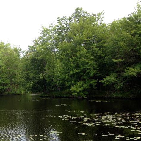 Brunet Island State Park Camping | The Dyrt