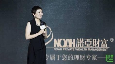 诺亚投资CEO获奖，诺亚控股高速发展_互联网_艾瑞网