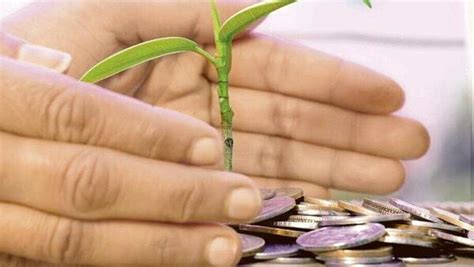 Where should I invest ₹1 lakh to earn best returns in a short time | Mint