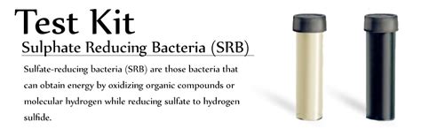 Sulphate Reducing Bacteria (SRB) Test Kit : Amazon.in: Pet Supplies