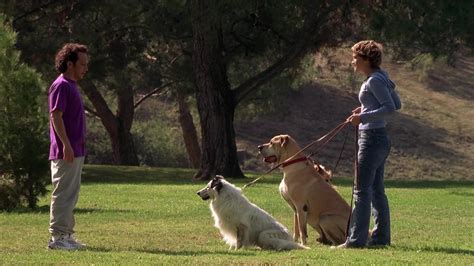 Image gallery for The Animal - FilmAffinity