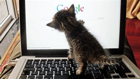 Image result for Agol MapViewer Power Apps Form