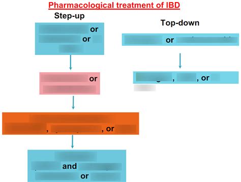 Image result for How to Use IBD