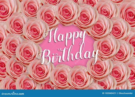 Happy Birthday Text in Design with Lots of Pink Roses for Greeting ...