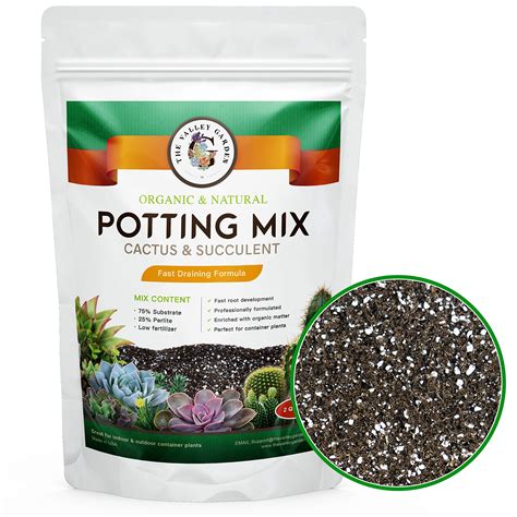 Potting Soil Mix For Mint at Christopher Bryant blog