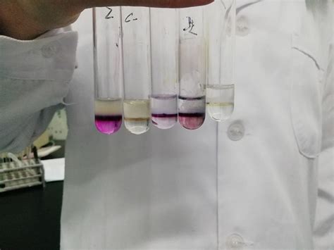 Reagent Example 的图像结果