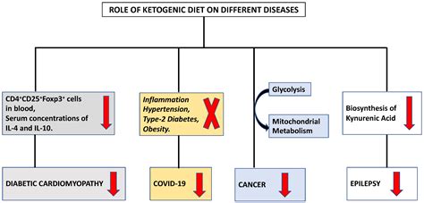 Immune Modulatory Effects of Ketogenic Diet in Different Disease Conditions