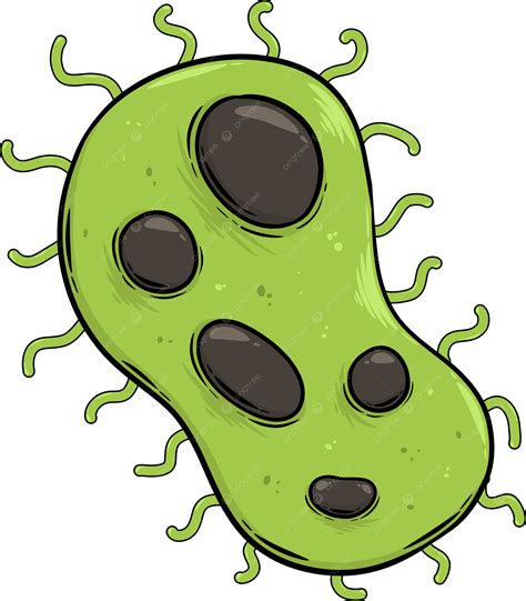Clipart De Bactérias PNG , Bactérias, Células Bacterianas, Germes ...