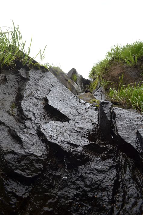 Image result for Coding for Kids Python Certificate
