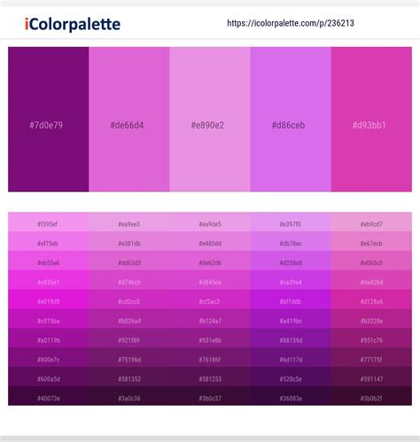 What Is A Purple Pink Color Called at Nadine Boeding blog