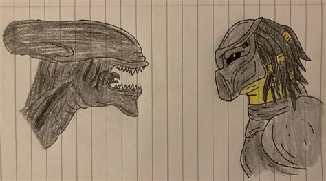 Alien vs Predator by drawasaurus04 on DeviantArt