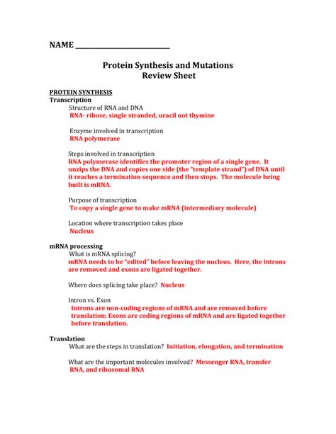 Image result for Protein Synthesis Review Worksheet