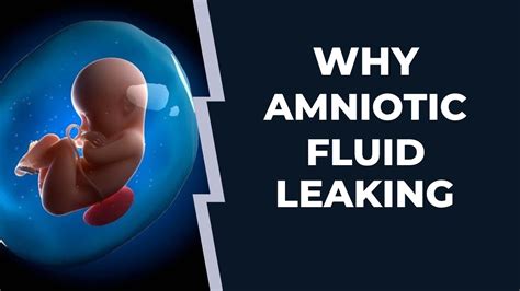 Why Amniotic Fluid Leaking During Pregnancy | Amniotic Fluid Leak ...