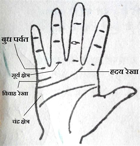 विवाह रेखा और आप | Astrologer