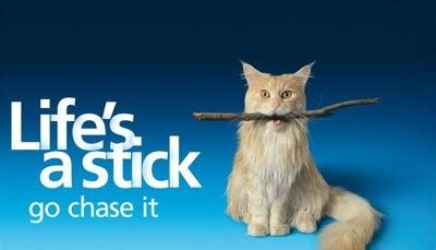 Image result for O2 Advert Dog