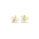 Shop Luxury Silver Jewellery Online | 925 Silver Jewellery