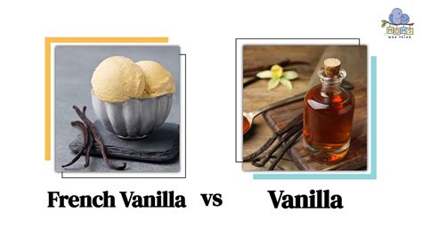 French Vanilla vs. Vanilla: Taste Differences & When To Use Each Flavor