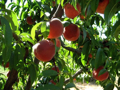 Image result for Web Design CodeSource Pic