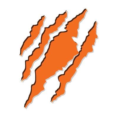 Image result for Tiger for Scratch Coding