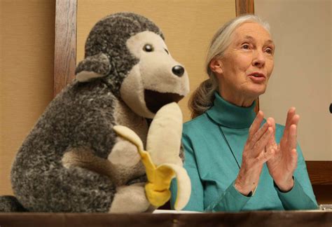 Why Jane Goodall Carried Stuffed Animal Mr. H Everywhere Before Her Death