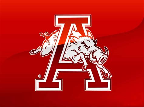 [100+] Arkansas Razorbacks Wallpapers | Wallpapers.com