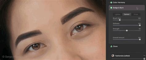 Luminar Ai Tutorials 的图像结果