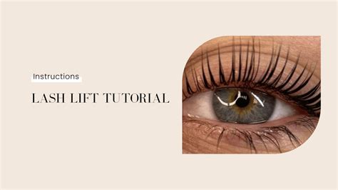 Image result for Troubleshooting Lash Lift Tutorial