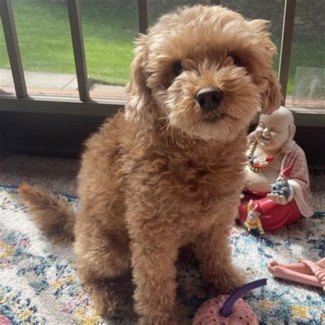 All Events in Mount Laurel, Today and Upcoming Events in Mount Laurel