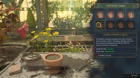 Hogwarts Legacy Seeds Guide: Where to Find Them All | TechRaptor - where to find mallowsweet