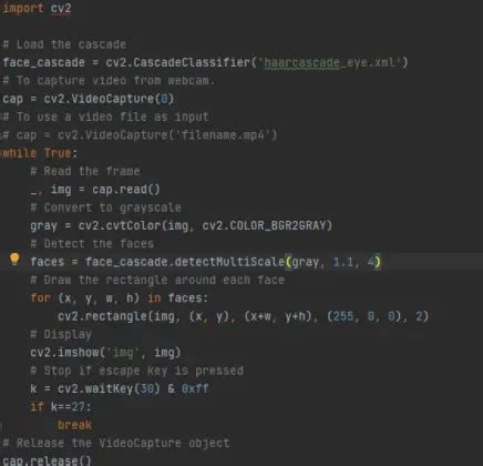 OpenCV Eye Tracking Python 的图像结果