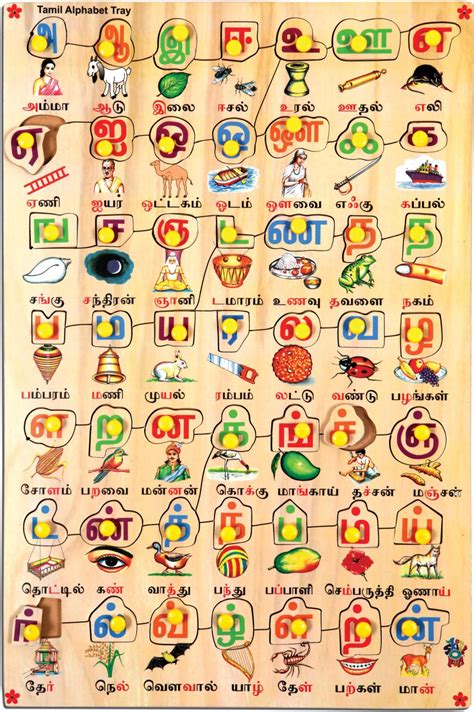 Skillofun Tamil Alphabet Picture Tray Price in India - Buy Skillofun ...
