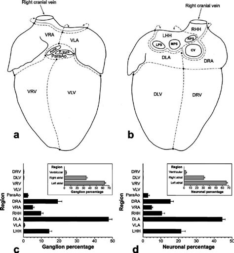 Image result for Chart Work for Computer Science Class 12