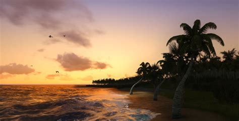 Image result for Nature Motion Graphics