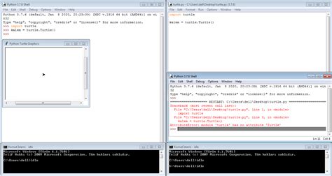 How to Import Python Turtle in Python Idle 3.8.4 的图像结果