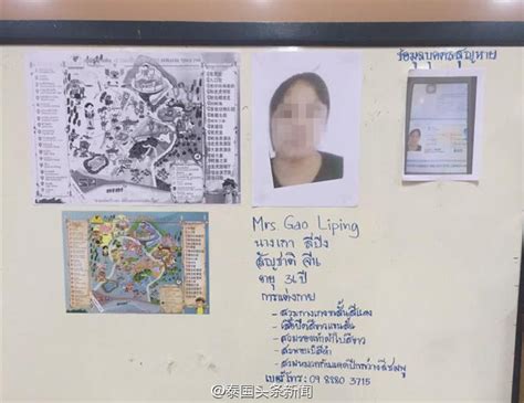 泰国一名外国女游客失踪，警方出动近百人搜寻…_信息_电话_进行