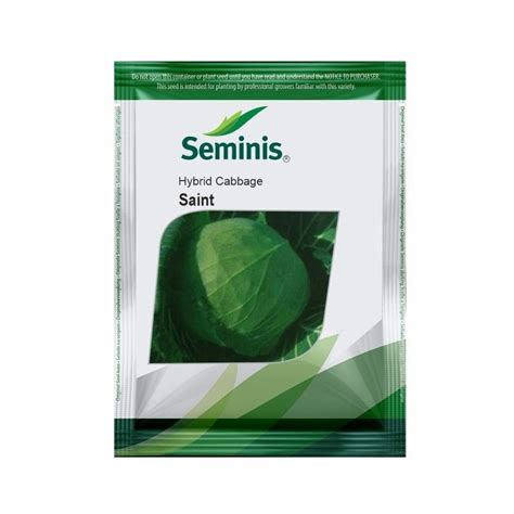 Saint Cabbage Seeds - Seminis | F1 Hybrid | Buy Online at Best Price ...