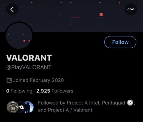 Image result for Project a Valorant