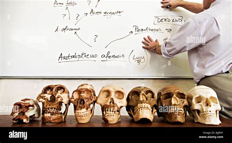 Human Evolution Full Documentary 的图像结果