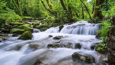 Picnic Spots In Nepal That You Must Visit With Your Friends And Family