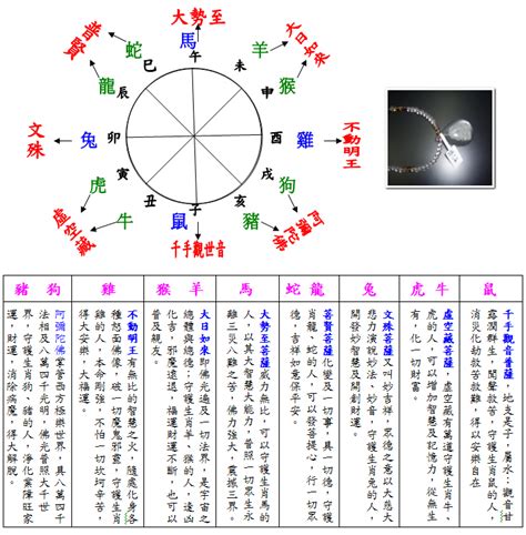 什么是五行八卦_五行对应的八卦是什么 - 装修保障网