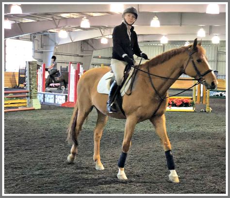 Fairfield County Hunt Club: Horses — And Much More | 06880