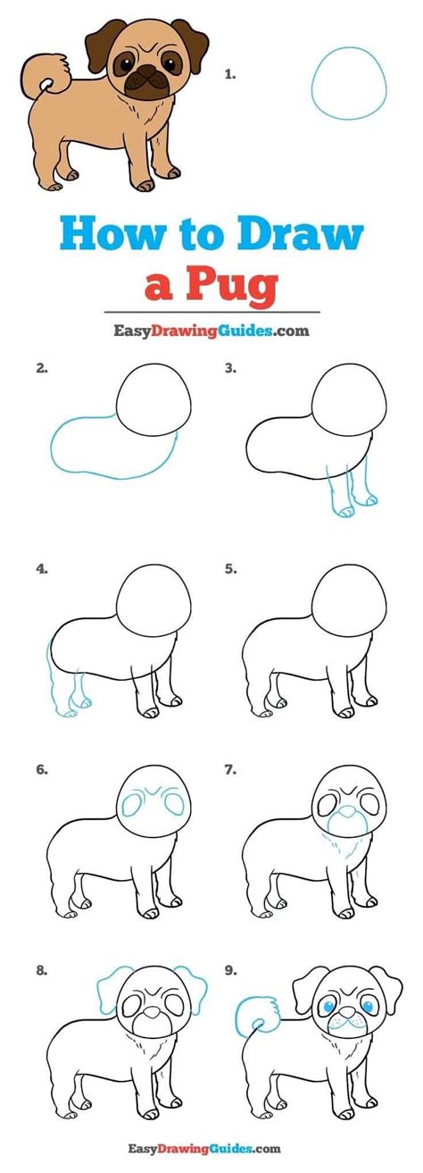 Image result for Cartoon Animal Tutorial