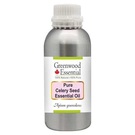 Buy Greenwood Essential Pure Celery Seed Essential Oil (Apium ...