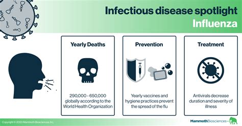 Infectious disease spotlight: Influenza - Mammoth Biosciences