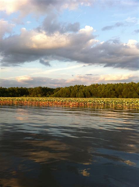 Lake Lemon, Indiana: A Tranquil Oasis