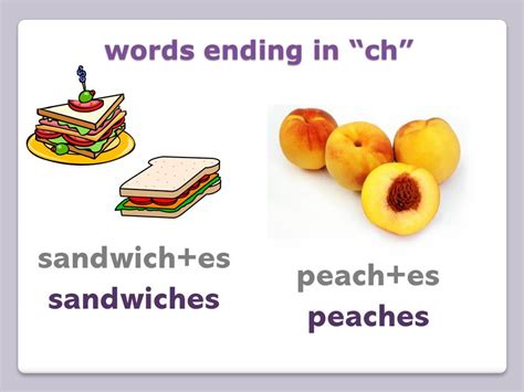 Plural Nouns: add -es to words ending in ch, sh, s, ss and x - box seat ...