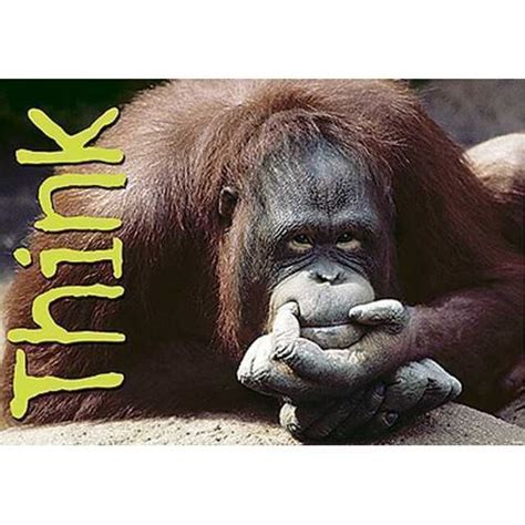 Mini Chart – Think – EDSCO