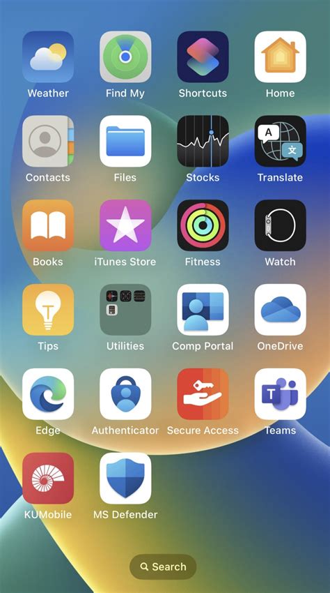 Image result for iOS Device App